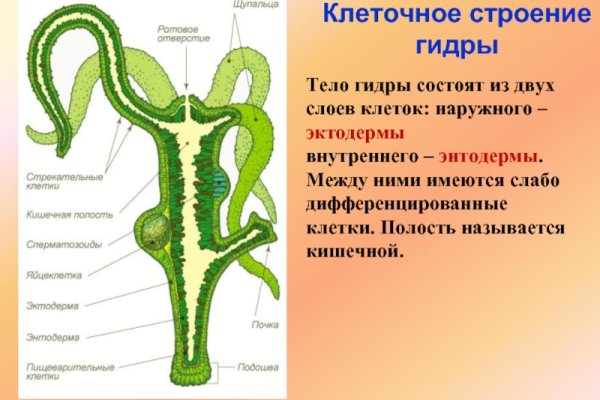 Вход в кракен