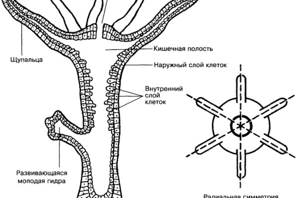 Ссылки на сайты в даркнете