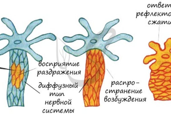 Кракен меф