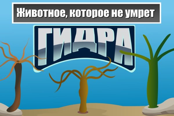 Что продает кракен